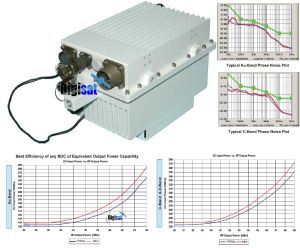C-Band Paradise vBUC